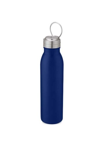 Harper 700 Ml Stainless Steel Water Bottle With Metal Loop