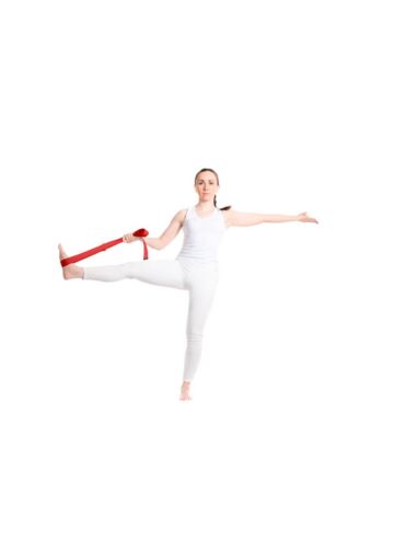 Virabha Rpet Yoga Strap