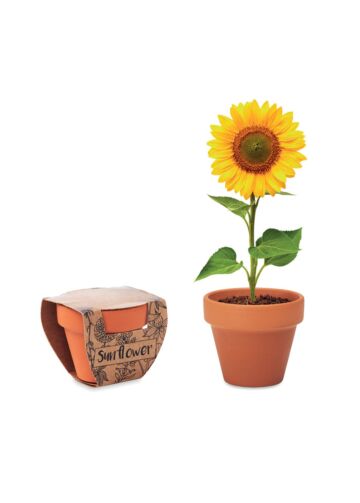 Terracotta Pot 'Sunflower'-Wood