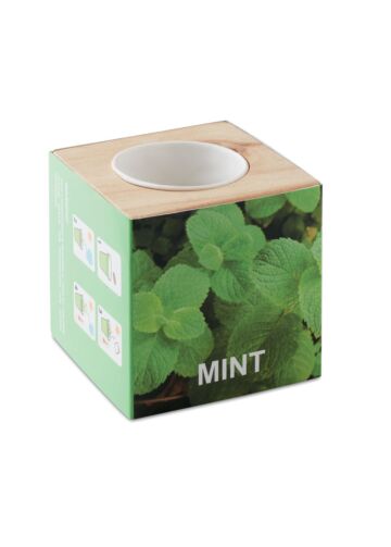 Herb Pot Wood "Mint"-Wood
