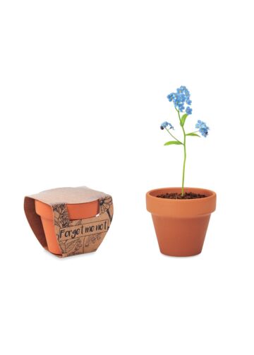 Terracotta Pot 'Forget Me Not'-Wood