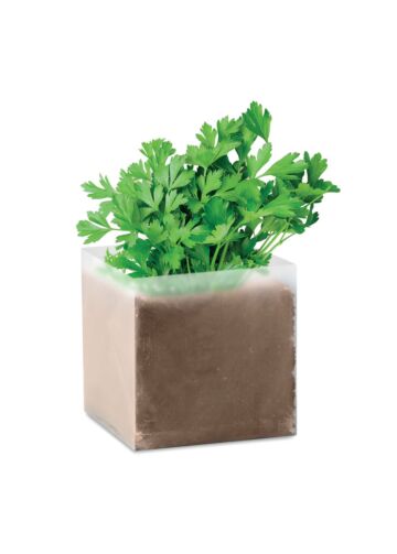 Compost With Seeds "Parsley"-Beige