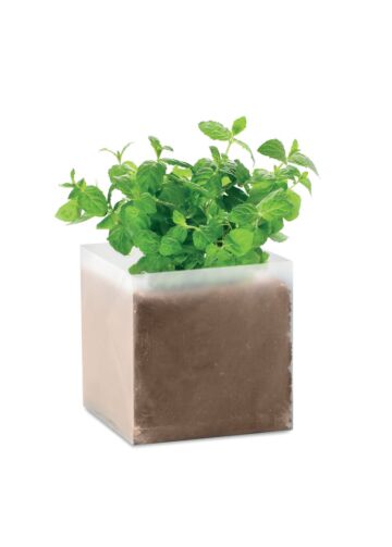 Compost With Seeds "Mint"-Beige