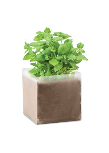 Compost With Seeds "Basil"-Beige