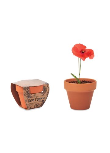 Terracotta Pot 'Poppy'-Wood