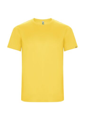 Imola Short Sleeve Men's Sports T-shirt