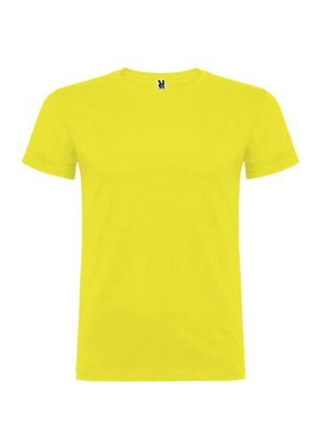 Beagle Short Sleeve Men's T-shirt